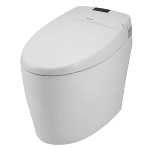 Huida massage and cleaning one piece chinese wc smart toilet seat covers intelligent toilet seat