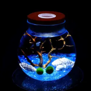 Led glass terrarium jar, decorative terrarium with cock