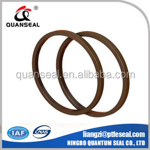 PTFE con dấu PTFE Rod và <span class=keywords><strong>piston</strong></span> con dấu - Product Image 2