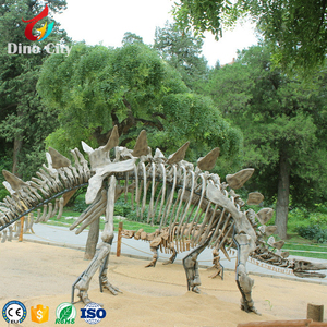 Esqueleto de <span class=keywords><strong>dinosaurio</strong></span> Artificial, calidad de museo, tamaño real - Product Image 6