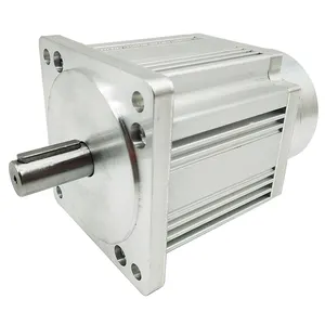 Motors Companies 80mm Bldc Motor 48V High Quality China Brushless Dc Motor