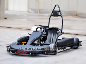 270cc 9hp adulti gare di <span class=keywords><strong>go</strong></span> kart/auto kart per la vendita - Product Image 1