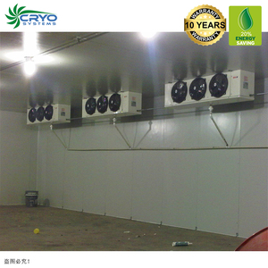 Pescado tilapia Ajo Morado almacén <span class=keywords><strong>de</strong></span> frío y almacén <span class=keywords><strong>de</strong></span> seco pequeña cámara frigorífica <span class=keywords><strong>de</strong></span> pollo <span class=keywords><strong>abatidor</strong></span> <span class=keywords><strong>de</strong></span> <span class=keywords><strong>temperatura</strong></span> - Product Image 5