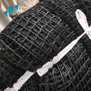 Standaard Formaat Fabrieksprijs Hoge Kwaliteit Aangepast Logo 1X9.5M <span class=keywords><strong>Polyester</strong></span> Polyethyleen 10 Meshportable Volleybal <span class=keywords><strong>Net</strong></span> Voor Strand - Product Image 4