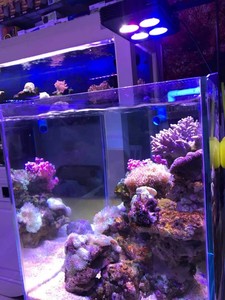 Gako A052 52W Hoge Kwaliteit Glas <span class=keywords><strong>Aquarium</strong></span> Led Verlichting Voor <span class=keywords><strong>Aquarium</strong></span> Hot Sale - Product Image 3