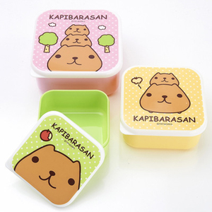 Sandwich plastic brood verpakking custom print bento box set