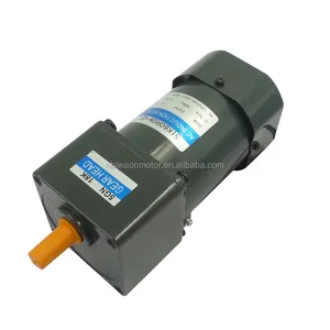 60W Hoge Koppel 110V 220V Ac Inductie Motor Met Versnellingsbak En Snelheidsregeling