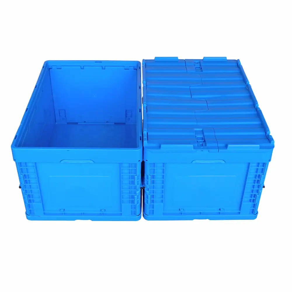 Duro pieghevole riutilizzabile diviso in plastica contenitore di scatola di immagazzinaggio scatole per il cibo e verdure in movimento libero