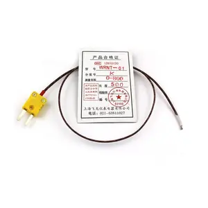 WRNT-01 Type K Bead Thermocouple with Exposed Probe