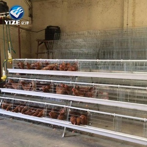 농장 사용 닭 케이지/레이어 싼 닭 coops 판매 - Product Image 6