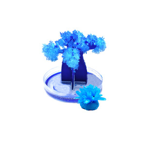 Pha Lê Trồng Thí Nghiệm Cây Phát Triển Ma Thuật Đồ Chơi Trẻ Em <span class=keywords><strong>DIY</strong></span> - Product Image 6