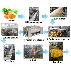 Двигатель 220 В Многофункциональный из нержавеющей стали для автоматизации растений, консервированный ананас, для обработки фруктов и овощей, основной компонент для пищевых продуктов - Product Image 2