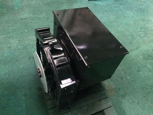 ตลาดเครื่องกำเนิดไฟฟ้ากระแสสลับ 15kv 220v - Product Image 3