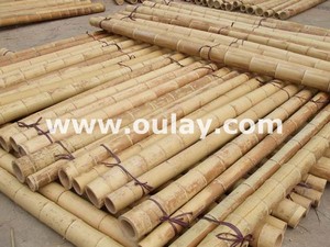 High Quality Yellow <strong>Bamboo</strong> Pole Stakes for for Plants Stand <strong>Bamboo</strong> Poles <strong>Canes</strong> HOT SALES Big <strong>Bamboo</strong> - Product Image 3
