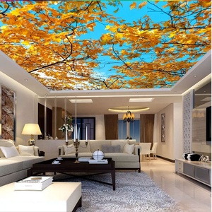 Chất Lượng Tốt Đẹp In Phòng Khách Trần Trang Trí Mới <span class=keywords><strong>Pop</strong></span> Trần Giả Hiệu Ứng 3d Căng Vải Trần Thiết Kế Phim - Product Image 6