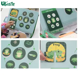 Life Cycle Preschool Teaching Educational Students Learning Tools Magnetic Puzzle Toys