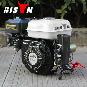 Bison (Trung Quốc) bán buôn 6.5HP động cơ mini 168f-1 động cơ xăng