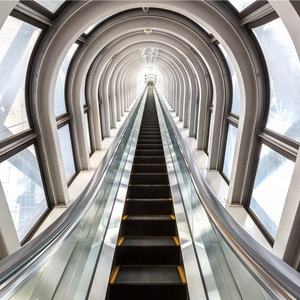 مقصورة مخصصة ذات أداء عالٍ لتزيين المقصورة يمكن حملها في الهواء الطلق بشكل ثابت - Product Image 3