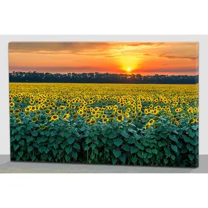 Lukisan Kanvas Minyak Pemandangan Matahari Terbit Alami Gambar Pemandangan Bunga Matahari Matahari