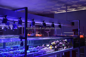 A.S. Lumière LED COB à haute pénétration pour la propagation des coraux, série Satellite, <span class=keywords><strong>éclairage</strong></span> LED pour <span class=keywords><strong>aquarium</strong></span>, lumière LED marine pour coraux - Product Image 6