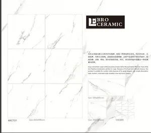 60x60 卡拉拉大理石或 bianco 白色大理石看起来亚光完成陶瓷仿古瓷砖