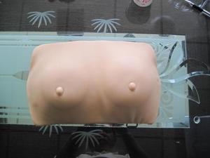 Mô Hình Kiểm Tra Vú Nâng Cao Mô Hình Thị Giác Và Palpation Nâng Cao Của Vú - Product Image 3