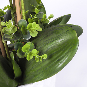 Flores artificiales <span class=keywords><strong>de</strong></span> tacto Real, polilla Artificial, mariposa orquídea, <span class=keywords><strong>casa</strong></span> <span class=keywords><strong>de</strong></span> orquídeas <span class=keywords><strong>de</strong></span> plástico, decoración <span class=keywords><strong>de</strong></span> Festival <span class=keywords><strong>de</strong></span> boda, Hotel <span class=keywords><strong>de</strong></span> fiesta - Product Image 4