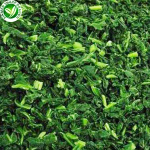 Wholesale Iqf Chopped Frozen Spinach