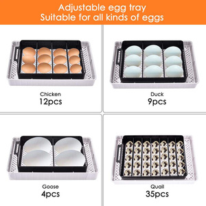 Wonegg Motor incubateur mini incubateur d'oeufs pour <span class=keywords><strong>canari</strong></span> - Product Image 3