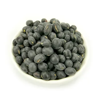 Types Of Big Black Beans For Sale 6.5mm Black Turtkle Bean