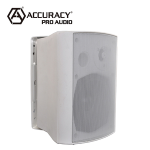 Độ Chính Xác Pro Âm Thanh RA-1110 Địa Chỉ Công Cộng Hệ Thống Ngoài Trời Trong Tường 6.5 Inch Powered Speaker - Product Image 4