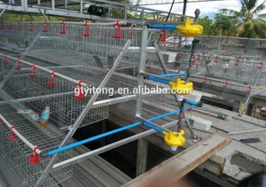 Poulailler automatique <span class=keywords><strong>de</strong></span> type A à 3 rangées, 3 et 4 étages Cage pour poules et œufs à usage domestique et au détail Cages pour animaux - Product Image 5