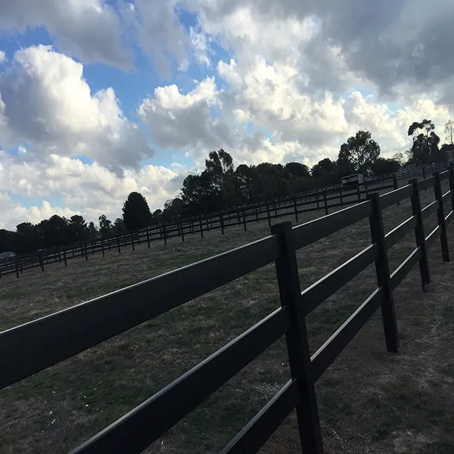 Negro cerca de vinilo caballo de los precios de los