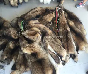 Doğal Rakun kürk derileri gerçek Rakun köpek kürk gizlemek için pelts yüksek kalite Çin rakun kürk hood