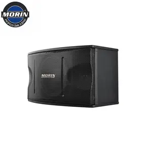 Morin V-10 专业定制批发 10英寸卡拉ok oem 150 W 8 欧姆家庭影院音箱