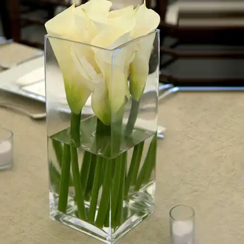 Vaso in vetro trasparente squadrato