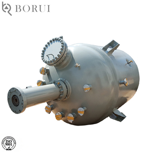 Lò Phản Ứng Đa Năng 1 Tấn Borui Giá Rẻ Bán Sỉ - Product Image 2