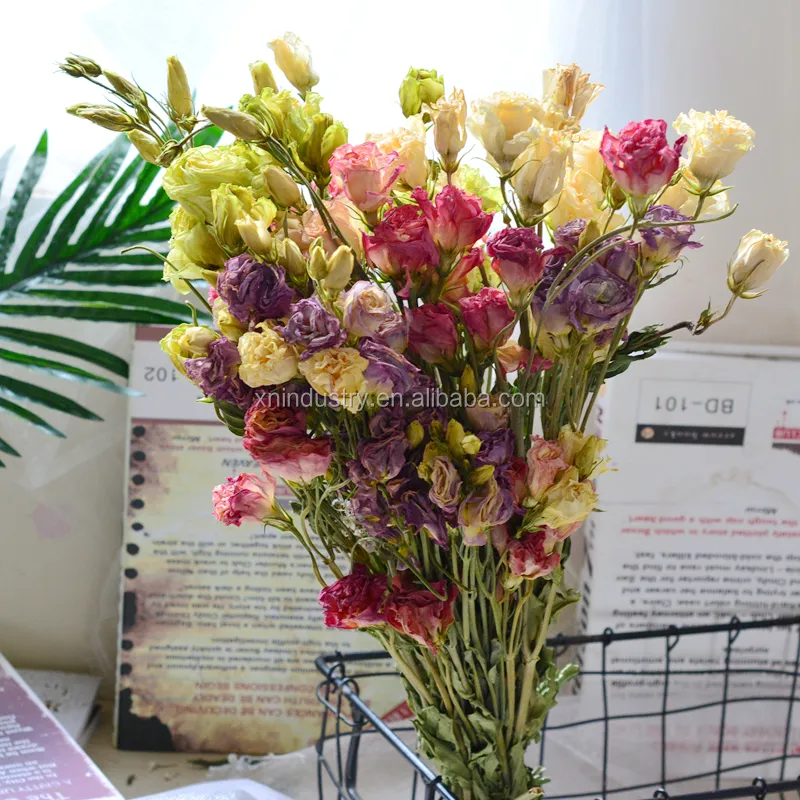 Vendita calda Celebration Naturale Fiori Secchi di Esportazione A Secco Fiore Eustoma Grandiflorum Lisianthus