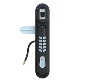 Smart lock network server cabinet lock for telecom cabinet network biometric door lock