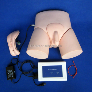 Dewasa Pria/Wanita Kateterisasi <span class=keywords><strong>Simulator</strong></span> dengan Intubasi Pelatihan Monitor - Product Image 2