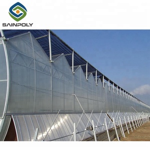 Policarbonato invernadero hidropónico <span class=keywords><strong>agricultura</strong></span> - Product Image 5