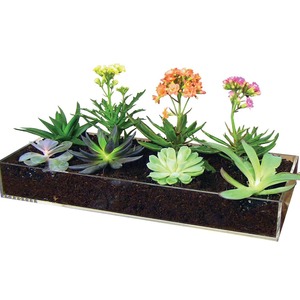 Nuovo vassoio per vasi da fiori trasparente personalizzato vassoio per fioriera a goccia in acrilico per giardini di erbe - Product Image 1
