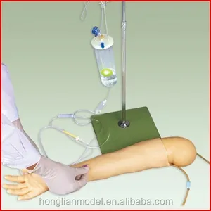 GD/HS8 General Doctor Mô Hình Đào Tạo Đâm Thủng Tĩnh Mạch Cánh Tay Trẻ Em Nâng Cao Khoảng Bốn Tuổi (Mô Hình Điều Dưỡng)