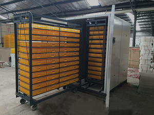 Khí <span class=keywords><strong>10000</strong></span> trứng lồng ấp hoàn toàn tự động 8448pcs lồng ấp CE phê duyệt gà trứng lồng ấp - Product Image 3