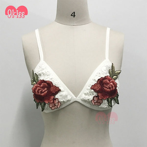 9 BESO Etiqueta Privada de Su Propia Marca de Encaje Sexy Bralette Lencería - Product Image 2