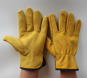 GUANTES DE <span class=keywords><strong>BADANA</strong></span> AMARILLO SUNCEND - Product Image 2