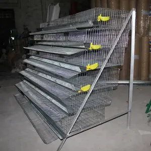 design 6 layers plastic quail cage for sale (guangzhou factory )