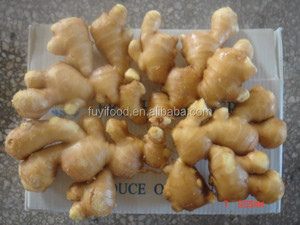 Crystal <strong>Ginger</strong>,<strong>fresh</strong> <strong>Ginger</strong>,dry <strong>Ginger</strong> Supplier - Product Image 5