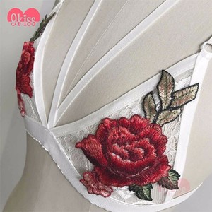 Bordado Nuevo Diseño de Encaje Bustier Top Bralette Wholesale - Product Image 2