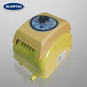 BLOWTAC AP-40L 12v Boot elektrische Luftpumpe